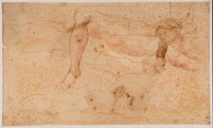 Alastonkuvia koskevat tutkimukset tekijältä Michelangelo (after) Buonarroti