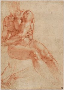 Istuva nuori miesakt ja kaksi käsivarsiopiskelua (recto), n. 1510-11. tekijältä Michelangelo