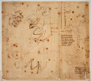 Autografiatutkimukset ja -laskennat tekijältä Michelangelo Buonarroti