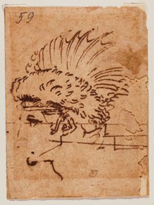 Harjakattoinen pää tekijältä Michelangelo Buonarroti