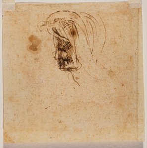 Naisen pää tekijältä Michelangelo Buonarroti