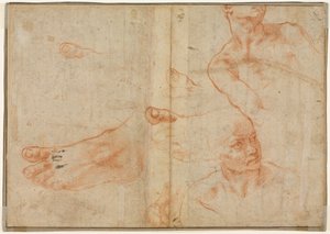 Kuvatutkimukset Sikstuksen kattoon (käänteinen) tekijältä Michelangelo Buonarroti