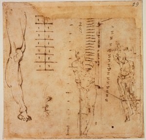 Kuva tutkimukset tekijältä Michelangelo Buonarroti