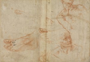 Kuvatutkimukset Sikstuksen kattoon tekijältä Michelangelo Buonarroti