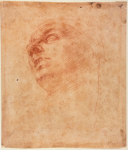 Sikstuksen Joonan pääkirjoitus tekijältä Michelangelo Buonarroti