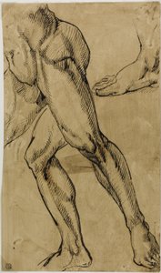 Miesten alaston jalat tekijältä Michelangelo Buonarroti