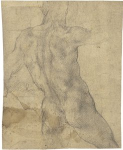 Mies alaston tekijältä Michelangelo Buonarroti