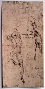 Alaston mies, käsivarsi. Piirustus Michelangelo Buonarroti dit Michelangelo (Michelangelo tai Michel Ange tekijältä Michelangelo Buonarroti