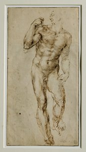 Miehen alaston, etukuva, noin 1502-1506 ... tekijältä Michelangelo Buonarroti