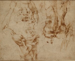 Nude Studies, c1490-1560 tekijältä Michelangelo Buonarroti