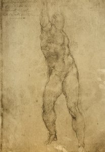 Alastontutkimus, Michelangelon piirustus. Gallerie dellAccademia, Venetsia tekijältä Michelangelo Buonarroti
