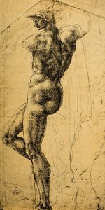 Alaston tutkimus; piirustus Michelangelo. Musee du Louvre, Pariisi