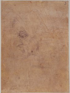 Vanhan naisen profiili tekijältä Michelangelo Buonarroti