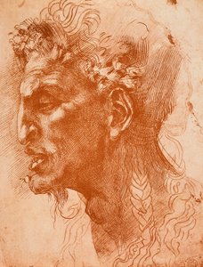Satyrs pää; piirustus Michelangelo. Louvre, Pariisi tekijältä Michelangelo Buonarroti