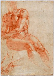 Istuva nuori mies, alaston ja kahden käsivarren tutkimukset, n. 1510-1511 tekijältä Michelangelo Buonarroti