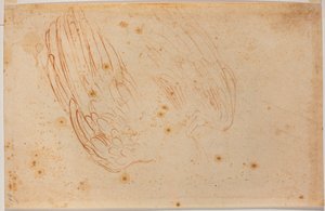 Kotkan luonnos tekijältä Michelangelo Buonarroti