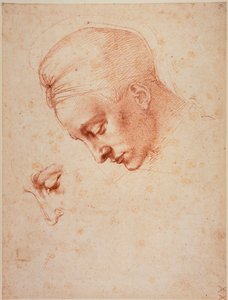 Leda-päätä koskevat tutkimukset tekijältä Michelangelo Buonarroti