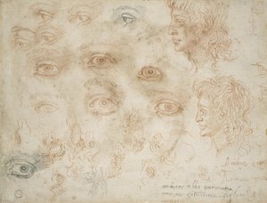 Studies of Two Heads, n. 1525 (liitu paperille) tekijältä Michelangelo Buonarroti