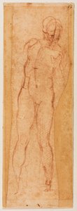 Tutkimus miehekästä hahmoa varten tekijältä Michelangelo Buonarroti