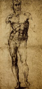 Tutkimus miesalastolle, Michelangelo Buonarroti (1475-1564), piirustus, Pariisi, Louvre-museo