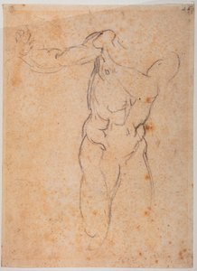 Tutkimus Sikstuksen kappelin Pardison karkotuksen Aadamia varten. tekijältä Michelangelo Buonarroti