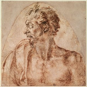 Pään ja hartioiden tutkimus (muste paperille) tekijältä Michelangelo Buonarroti