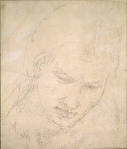 Study of a Head, c1490-1560 tekijältä Michelangelo Buonarroti