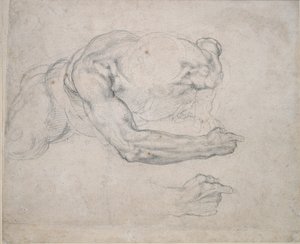 Tutkimus maasta nousevasta miehestä, 1500-luku tekijältä Michelangelo Buonarroti