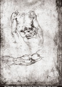 Tutkimus miehen vartalosta ja käsivarresta tekijältä Michelangelo Buonarroti