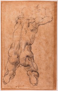 Tutkimus polvistuvasta miespuolisesta alastonkuvasta tekijältä Michelangelo Buonarroti