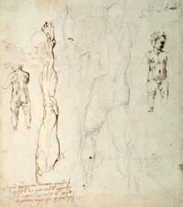 Tutkimus Kristus-lapsesta ja anatominen piirustus muistiinpanoilla (musta liitu ja ruskea muste paperille) (käänteinen) tekijältä Michelangelo Buonarroti