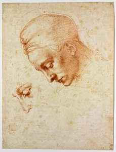 Tutkimus Ledan päällikölle, n. 1530 tekijältä Michelangelo Buonarroti