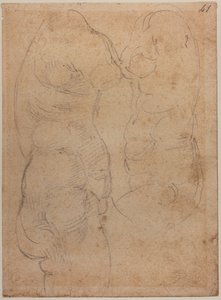 Kaksi tutkimusta muinaisesta Venuksesta tekijältä Michelangelo Buonarroti