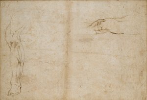 Verso: Tutkimukset miehen jaloista, c1490-1560 tekijältä Michelangelo Buonarroti