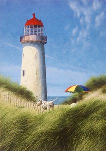 Päivä dyyneillä tekijältä Mike Briscoe