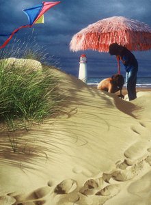  tekijältä Mike Briscoe