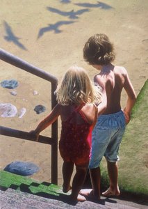  tekijältä Mike Briscoe