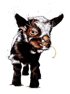Vuohenvauva valkoisella, 2020 tekijältä Mike Davis