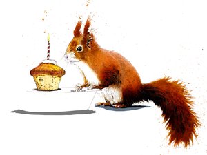 Syntymäpäivä orava valkoisella, 2020