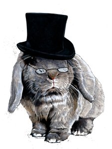 Humbug Bunny on White, 2020 tekijältä Mike Davis