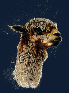The Alpaca on Midnight Blue, 2020 tekijältä Mike Davis