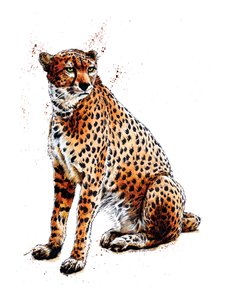 Cheetah on White, 2020 tekijältä Mike Davis
