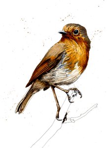 The Robin on White, 2019
