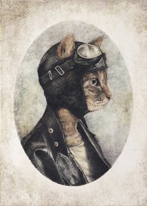  tekijältä Mike Koubou