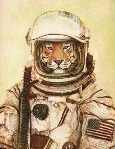  tekijältä Mike Koubou