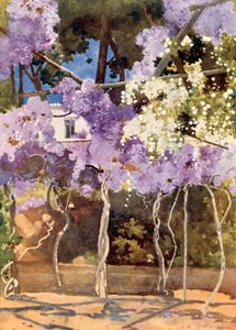 Wistaria Bower, Kuninkaallinen palatsi, Ateena