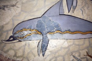 Minolainen taide. "Delfiinin fresko". Fresko koristeli kuningatar-megaronin yläpuolella olevan hallin seinää tai lattiaa. Fresko rekonstruoitu Knossoksesta (1600 - 1450 eKr.) löydettyjen alkuperäisen teoksen fragmenteista. Arkeologinen museo, Herakleion, K tekijältä Minoan