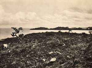 Imperiumin rakentaminen fasistisella aikakaudella: Tanajärvi. Etiopia, 5.9.1936 (m/w kuva) tekijältä Modestino Baldinetti