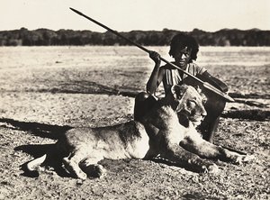 Imperiumin rakentaminen fasismin aikana: esimerkki leijonasta, 09/05/1936 (s/w-kuva) tekijältä Modestino Baldinetti