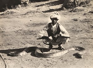 "Imperiumin rakentaminen" fasistisella aikakaudella: alkuperäisväestö pythonin kanssa, 9.5.1936 (m/v kuva) tekijältä Modestino Baldinetti
